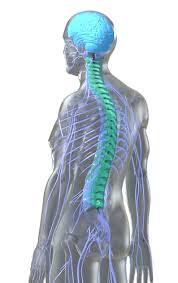 Spine And Brain Clinic In Nagpur